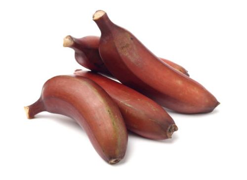 Banane, Fruit exotique : vente en ligne Banane, Fruit exotique 